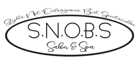 Picture SNOBS Hair Salon Spa Concord NC